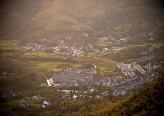 珀洱半坡，在竹海樹林之間盡享山間好風(fēng)光