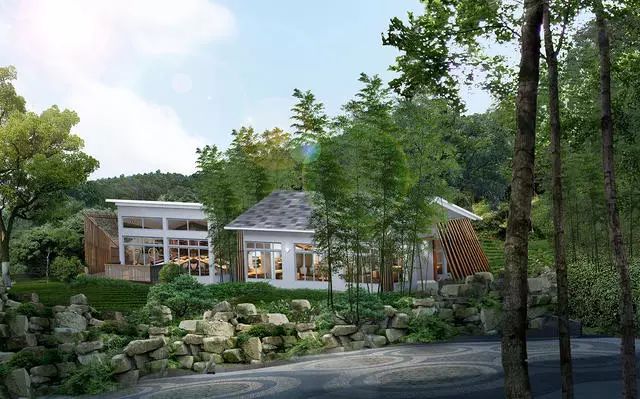 珀洱半坡，在竹海樹林之間盡享山間好風光