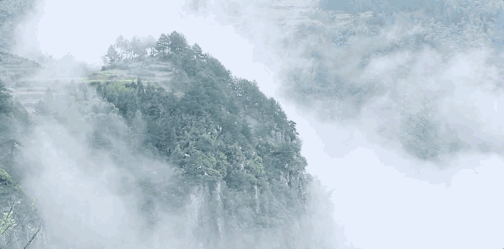 螞蟻尚墅，在山谷的花田美舍里生活