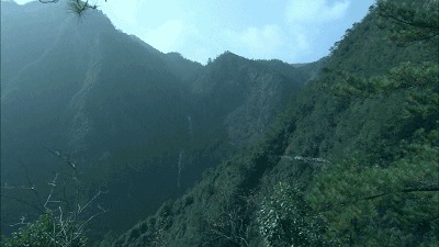 螞蟻尚墅，在山谷的花田美舍里生活