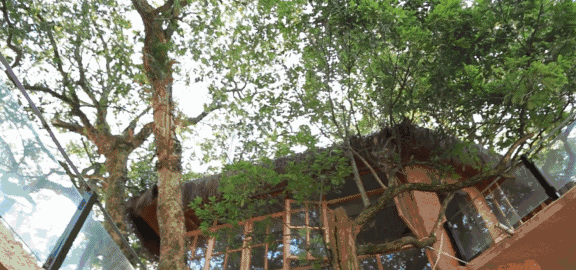 螞蟻尚墅，在山谷的花田美舍里生活