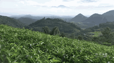 湖州嶺霧，在云霧之巔把自然搬進(jìn)屋內(nèi)