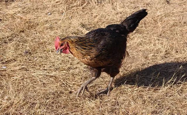 湖州嶺霧，在云霧之巔把自然搬進(jìn)屋內(nèi)