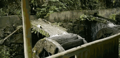 陌上·花溪堂，陌上花開笑顏傾城