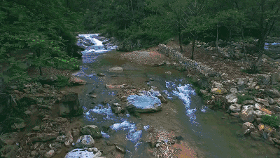 陌上·花溪堂，陌上花開笑顏傾城