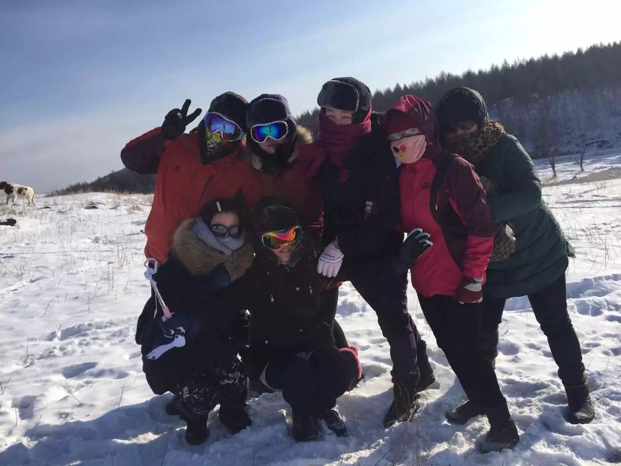 陌上·花溪堂，陌上花開笑顏傾城