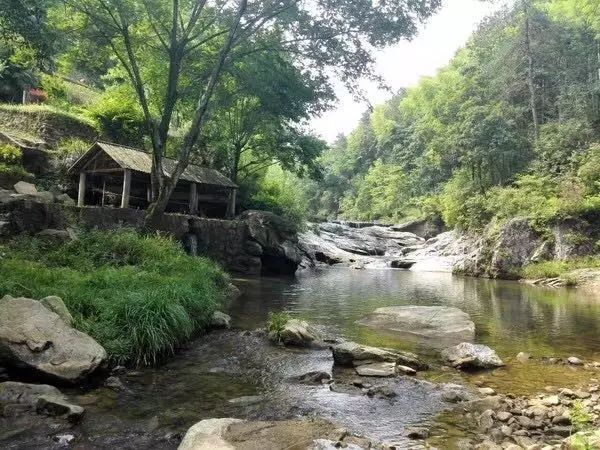 陌上·花溪堂，陌上花開笑顏傾城