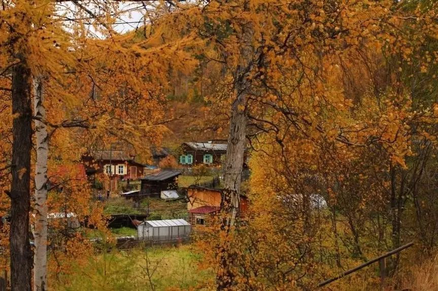 陌上·花溪堂，陌上花開笑顏傾城