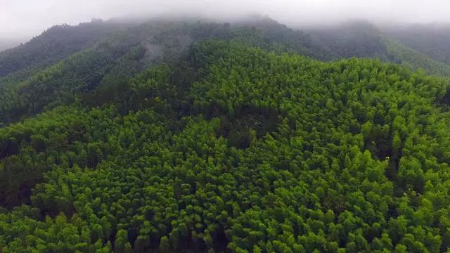 陌上·花溪堂，陌上花開笑顏傾城