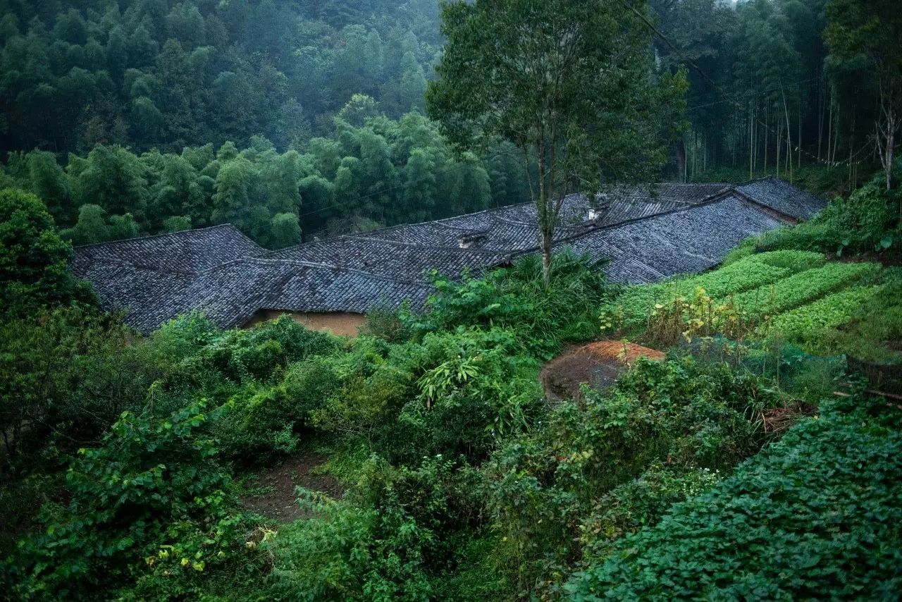陌上·花溪堂，陌上花開笑顏傾城