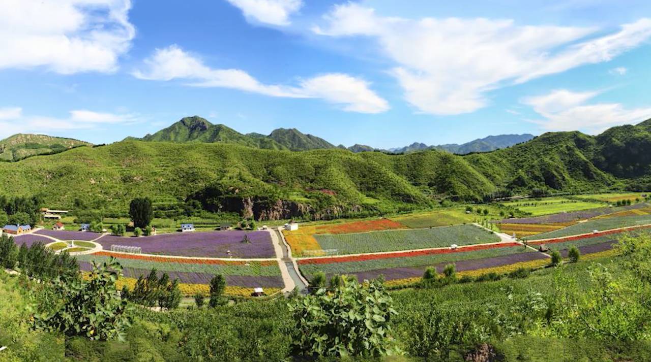 陌上·花溪堂，陌上花開笑顏傾城