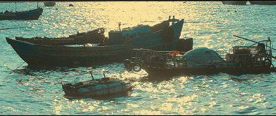 溫州·花崗漁村，海外桃源別有天此間小住亦神仙