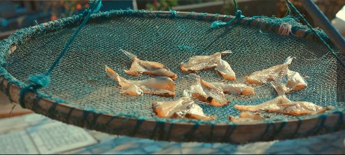 溫州·花崗漁村，海外桃源別有天此間小住亦神仙