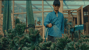 溫州·花崗漁村，海外桃源別有天此間小住亦神仙