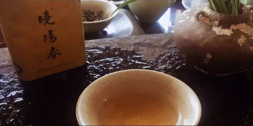 曉陽春茶，尋找茶道融于茶水中的美好生活