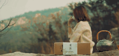 曉陽(yáng)春茶，尋找茶道融于茶水中的美好生活