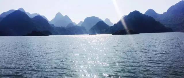 桃花壹號，靜下來品味生活最美的那一面