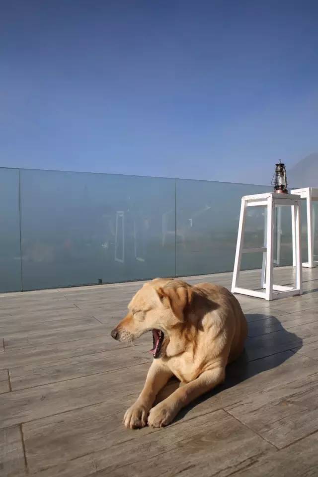 桃花壹號，靜下來品味生活最美的那一面