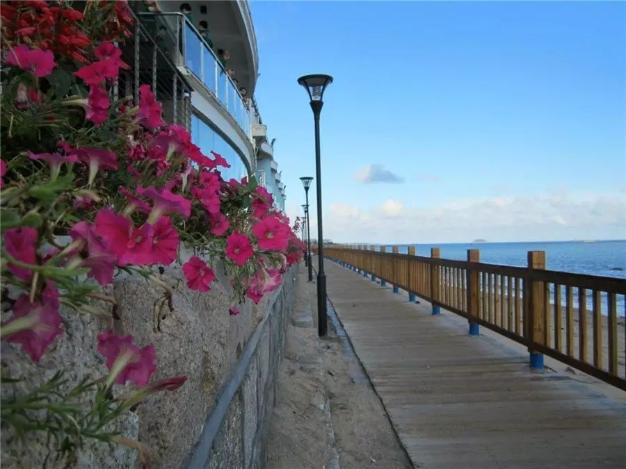 三個廈大人，做一個最廈門最廈大的民宿夢