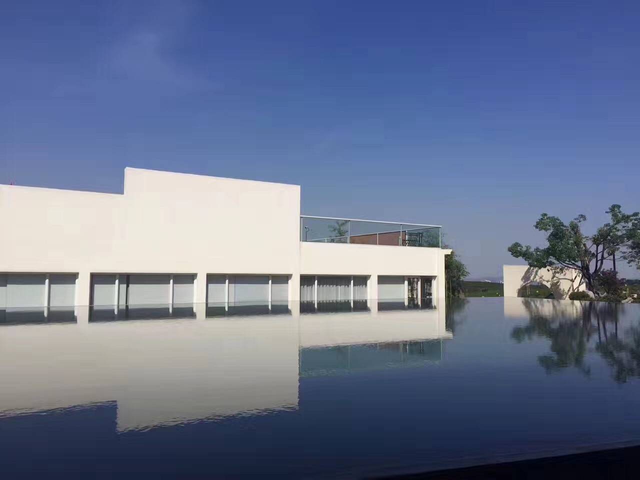 茗墅茶莊園，西湖以外的西湖