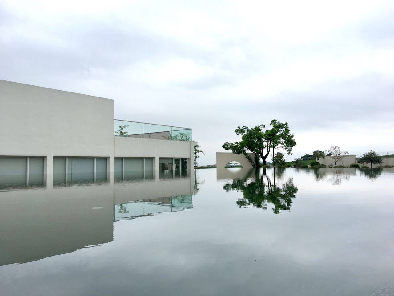 茗墅茶莊園，西湖以外的西湖