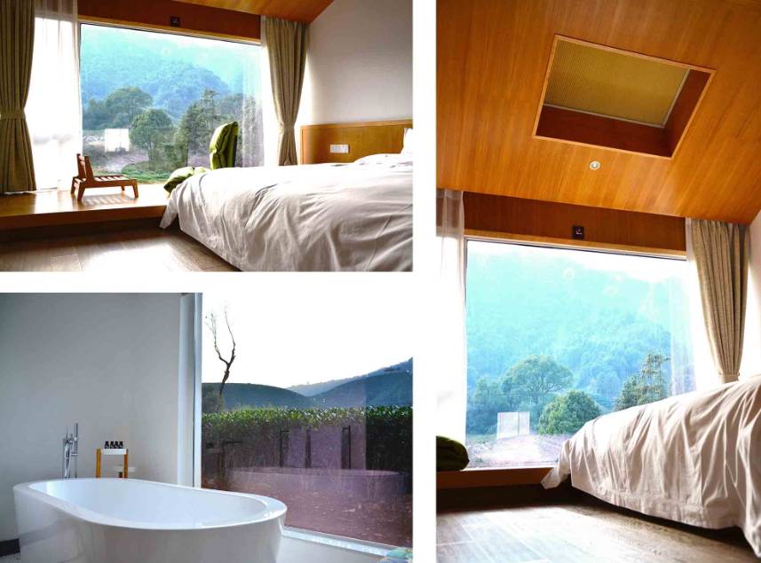 茗墅茶莊園，西湖以外的西湖