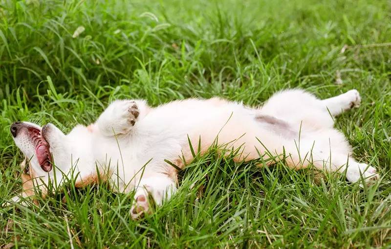 北京金岳臺(tái)溫泉酒店，承載著上個(gè)世紀(jì)的老磚樓