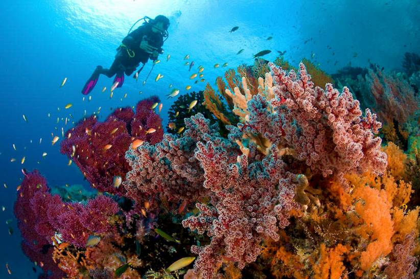 東極島·梵嶼，向往藍色自由守護心中美好的島嶼