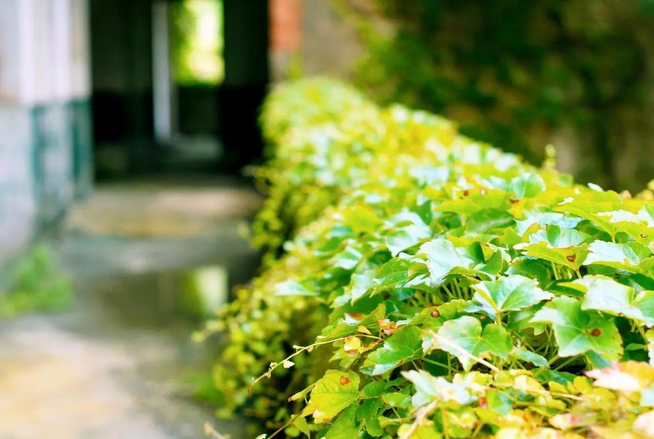 東極島·梵嶼，向往藍色自由守護心中美好的島嶼