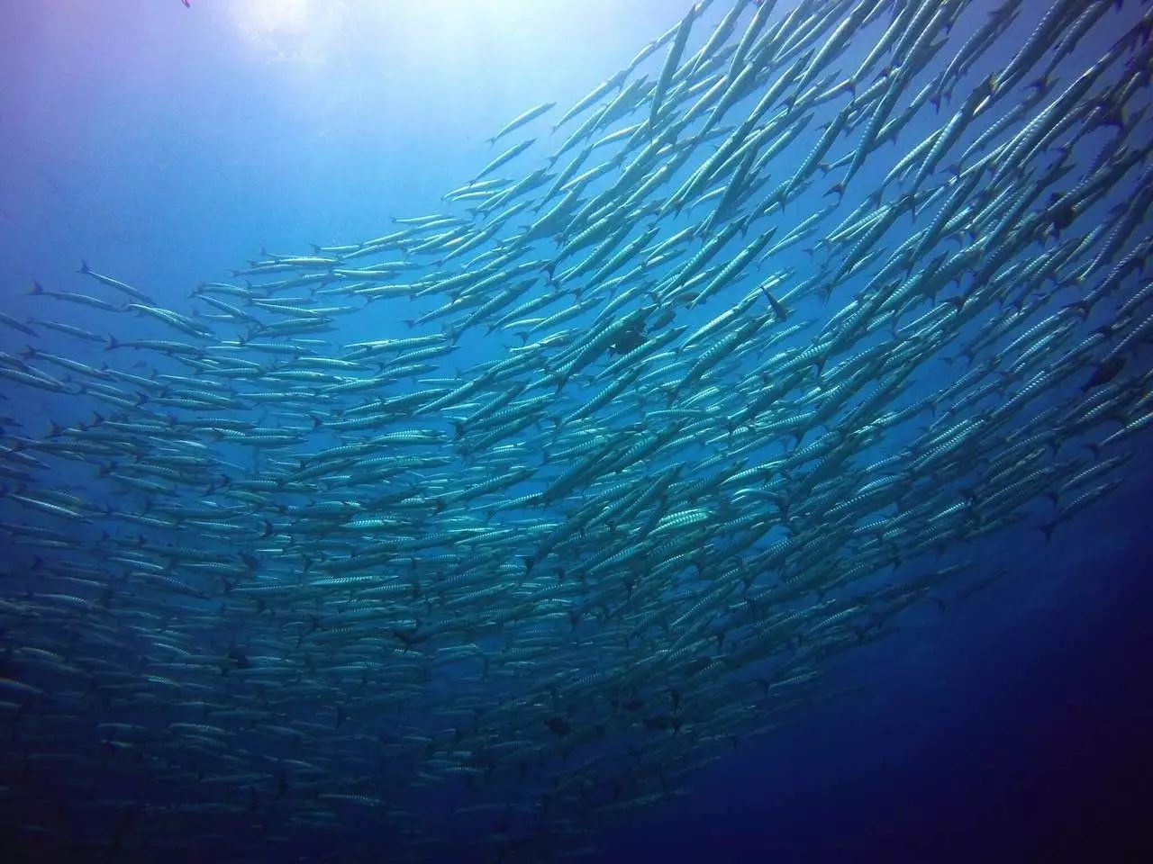 東極島·梵嶼，向往藍(lán)色自由守護(hù)心中美好的島嶼