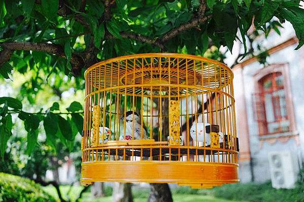 中國的四合院，才是真正的豪宅!