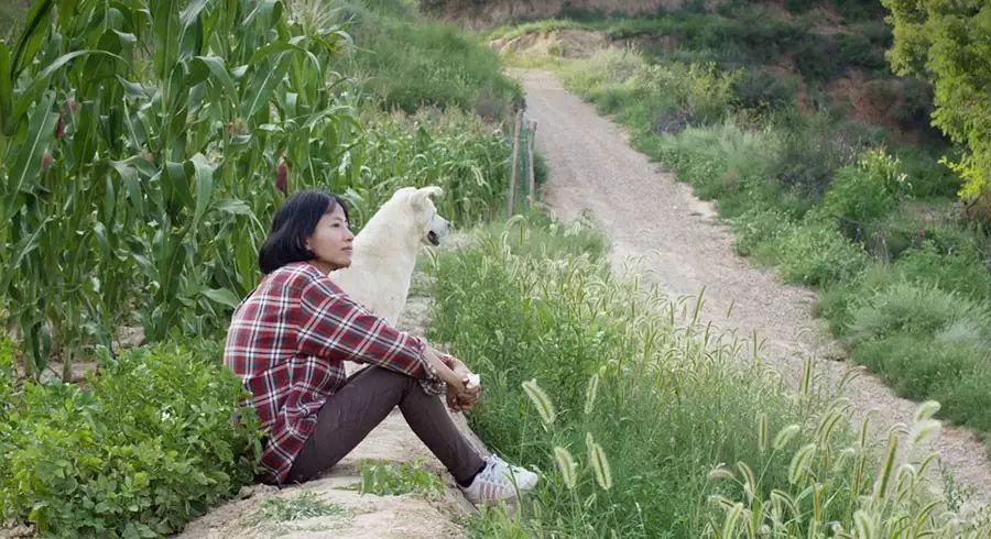 畫畫找回內(nèi)心真實的自己