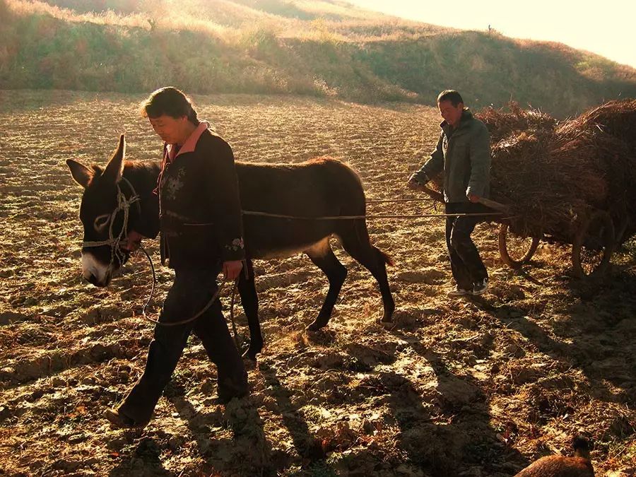 畫畫找回內(nèi)心真實的自己