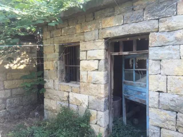 桃花源，有花為伴有茶糊口每一天都是美好光陰