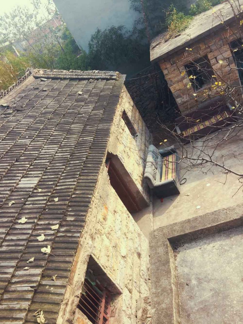 桃花源，有花為伴有茶糊口每一天都是美好光陰