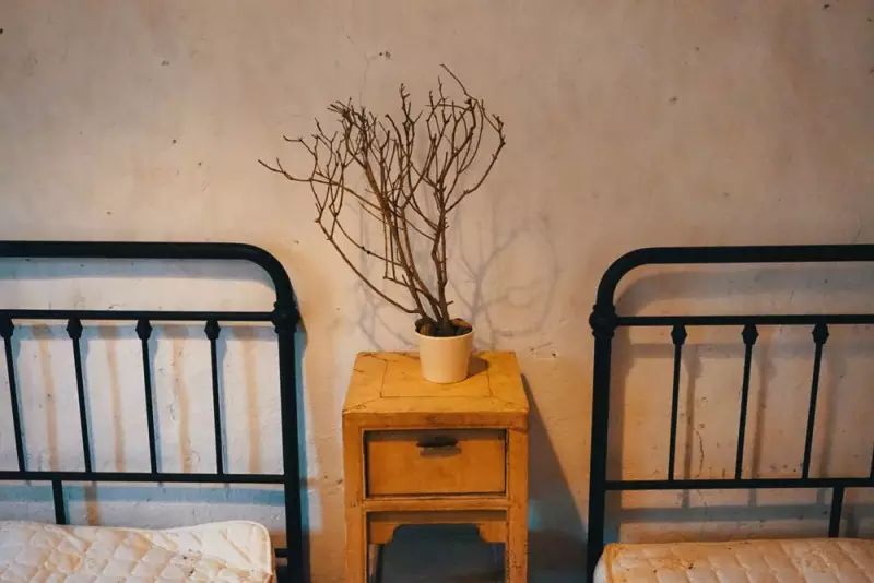 桃花源，有花為伴有茶糊口每一天都是美好光陰