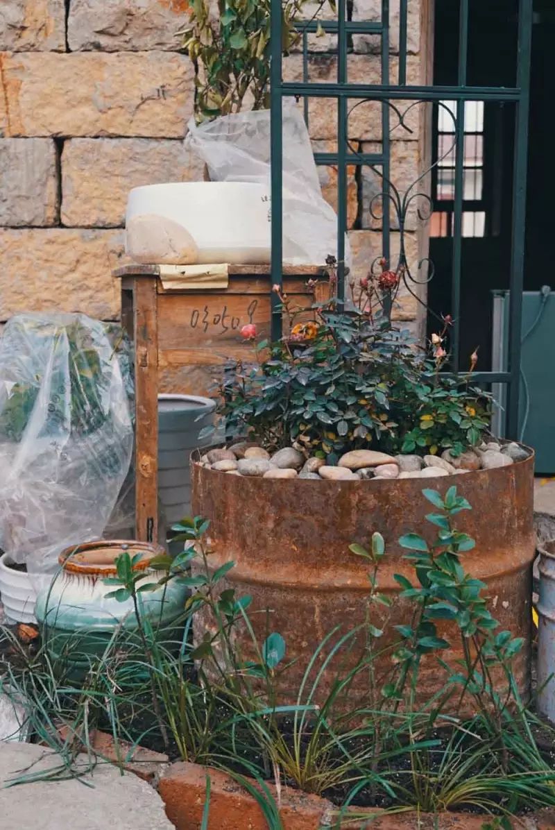 桃花源，有花為伴有茶糊口每一天都是美好光陰