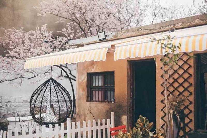 桃花源，有花為伴有茶糊口每一天都是美好光陰