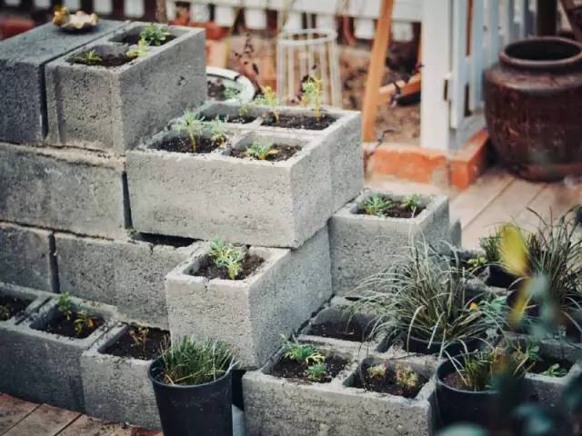 桃花源，有花為伴有茶糊口每一天都是美好光陰