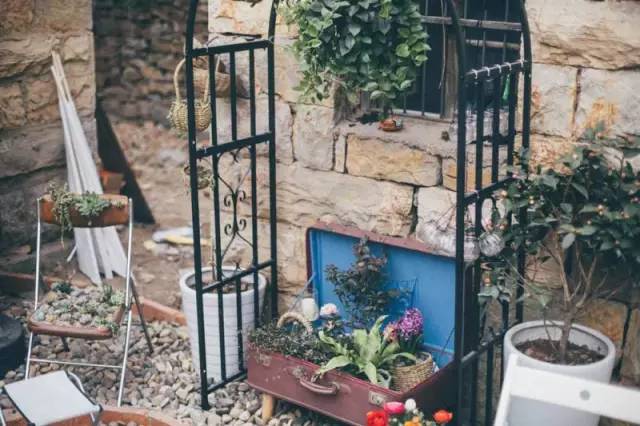 桃花源，有花為伴有茶糊口每一天都是美好光陰