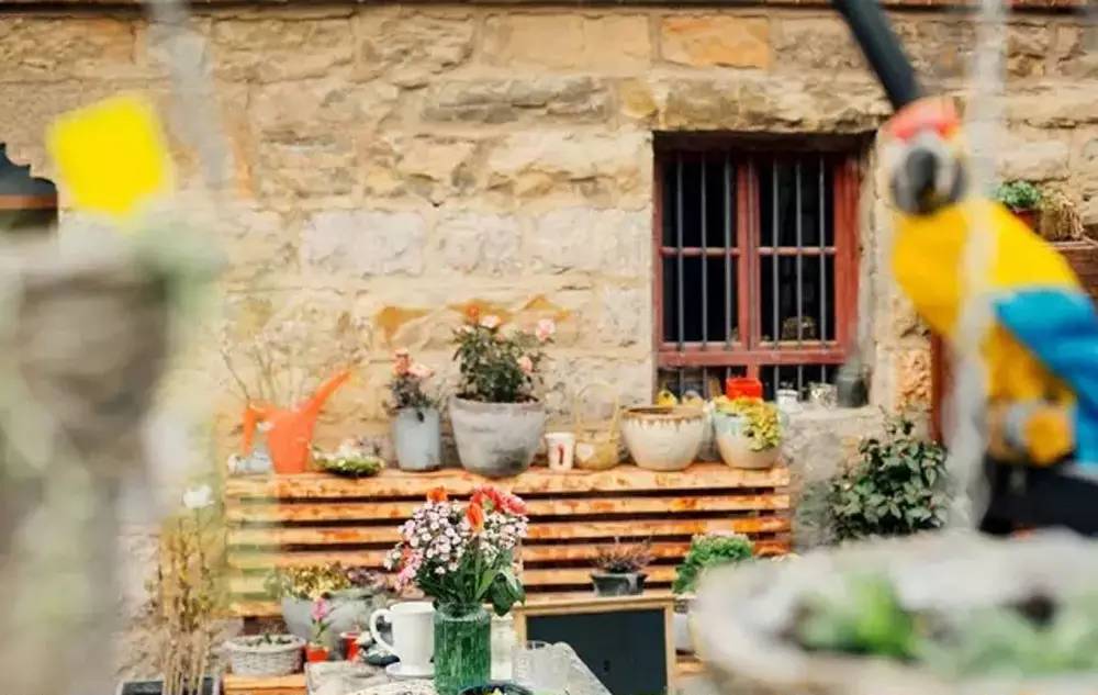 桃花源，有花為伴有茶糊口每一天都是美好光陰