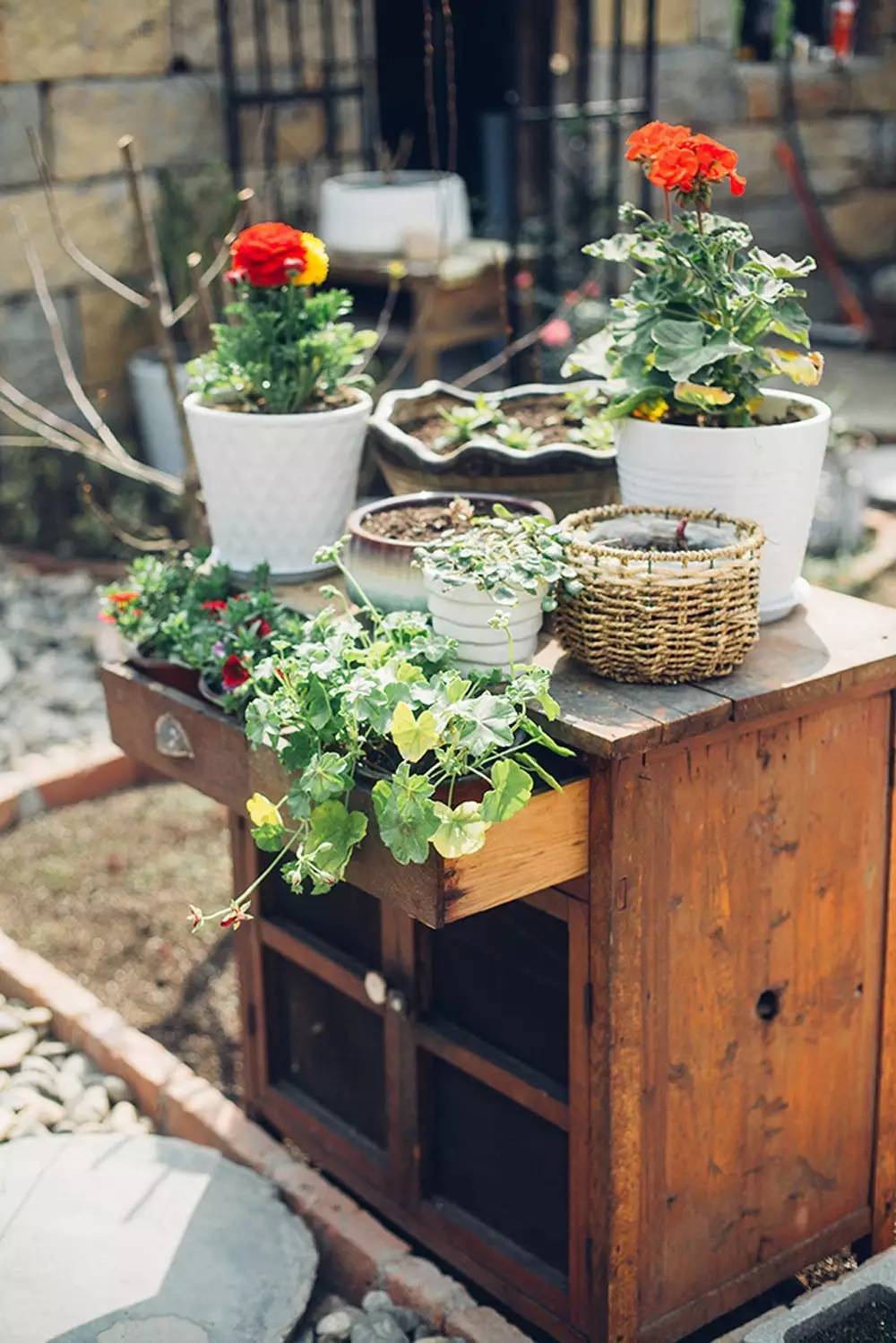 桃花源，有花為伴有茶糊口每一天都是美好光陰