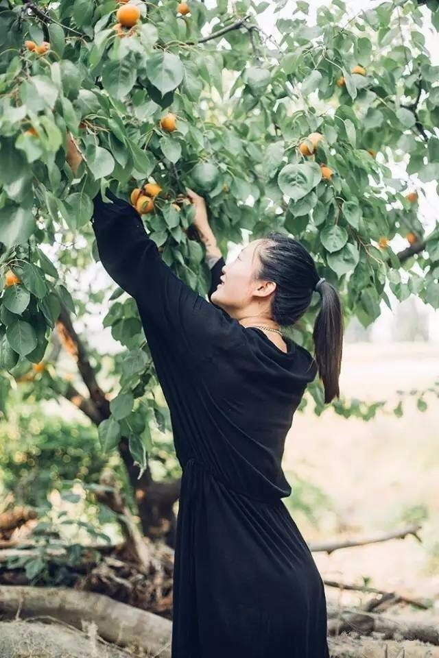 桃花源，有花為伴有茶糊口每一天都是美好光陰