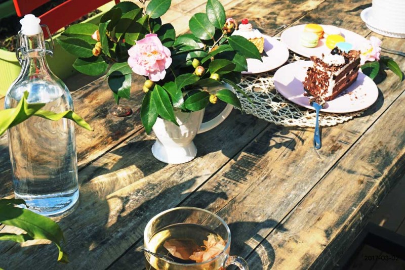 桃花源，有花為伴有茶糊口每一天都是美好光陰