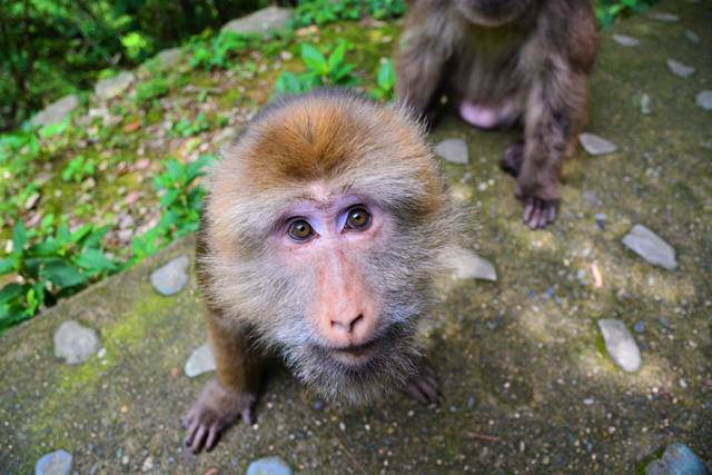 云門(mén)山居，雕琢廚藝隱居世外匠心如一