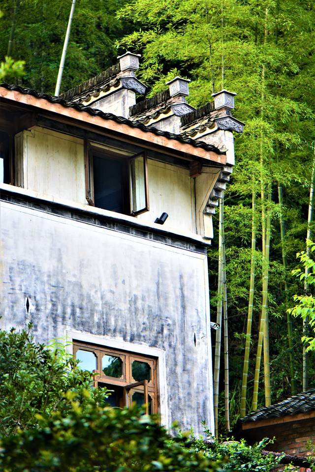 云門(mén)山居，雕琢廚藝隱居世外匠心如一