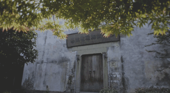 塘棲古鎮(zhèn)小茶姑娘，古鎮(zhèn)溪邊沐浴清風(fēng)滌蕩心靈