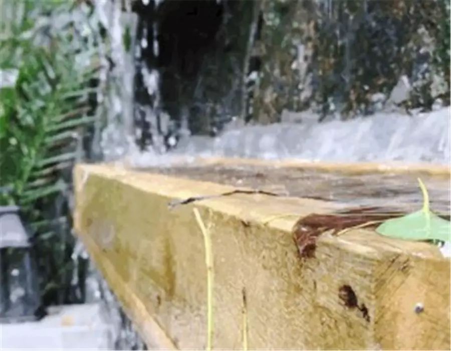 杭州·若白雅苑，擁有無邊泳池「最好泡民宿」