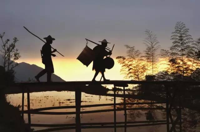 3間開在稻田里的民宿，回歸自然向往田園風(fēng)光