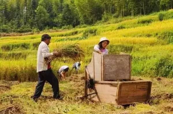 3間開在稻田里的民宿，回歸自然向往田園風(fēng)光